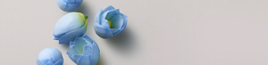 PRODUCT DETAIL INGREDIENTS - DESKTOP - 1440 X 348-Blue Lotus Flower